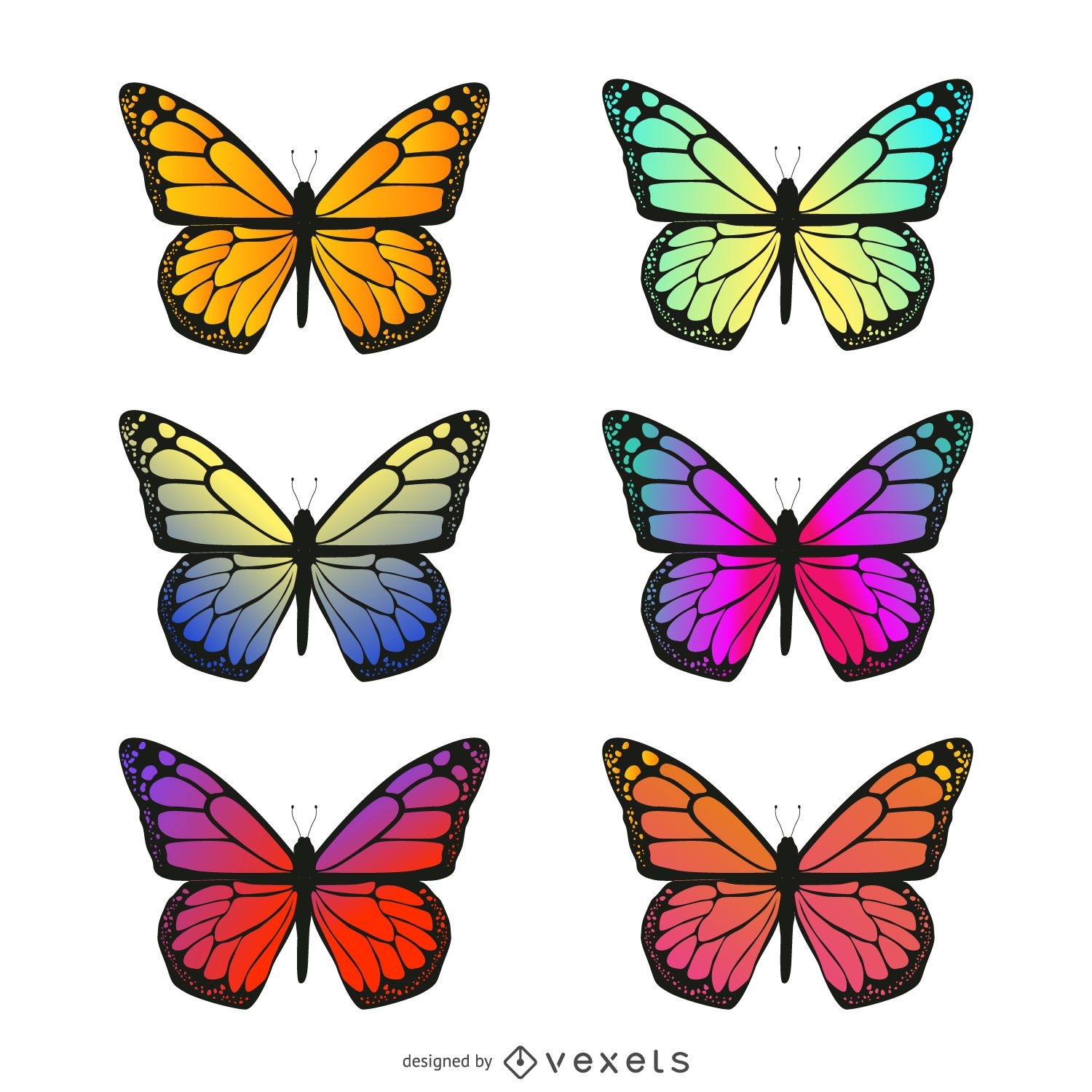 Conjunto de ilustração de gradiente de borboleta isolada