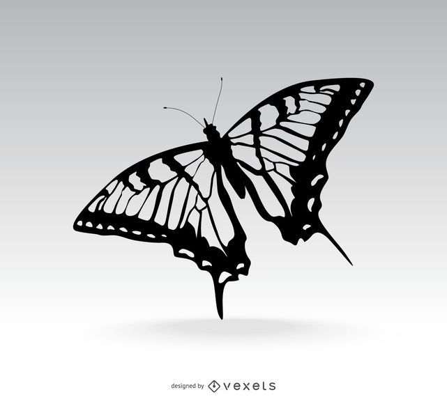 Ejemplo aislado de la mariposa sobre gris Ejemplo aislado de la mariposa sobre gris