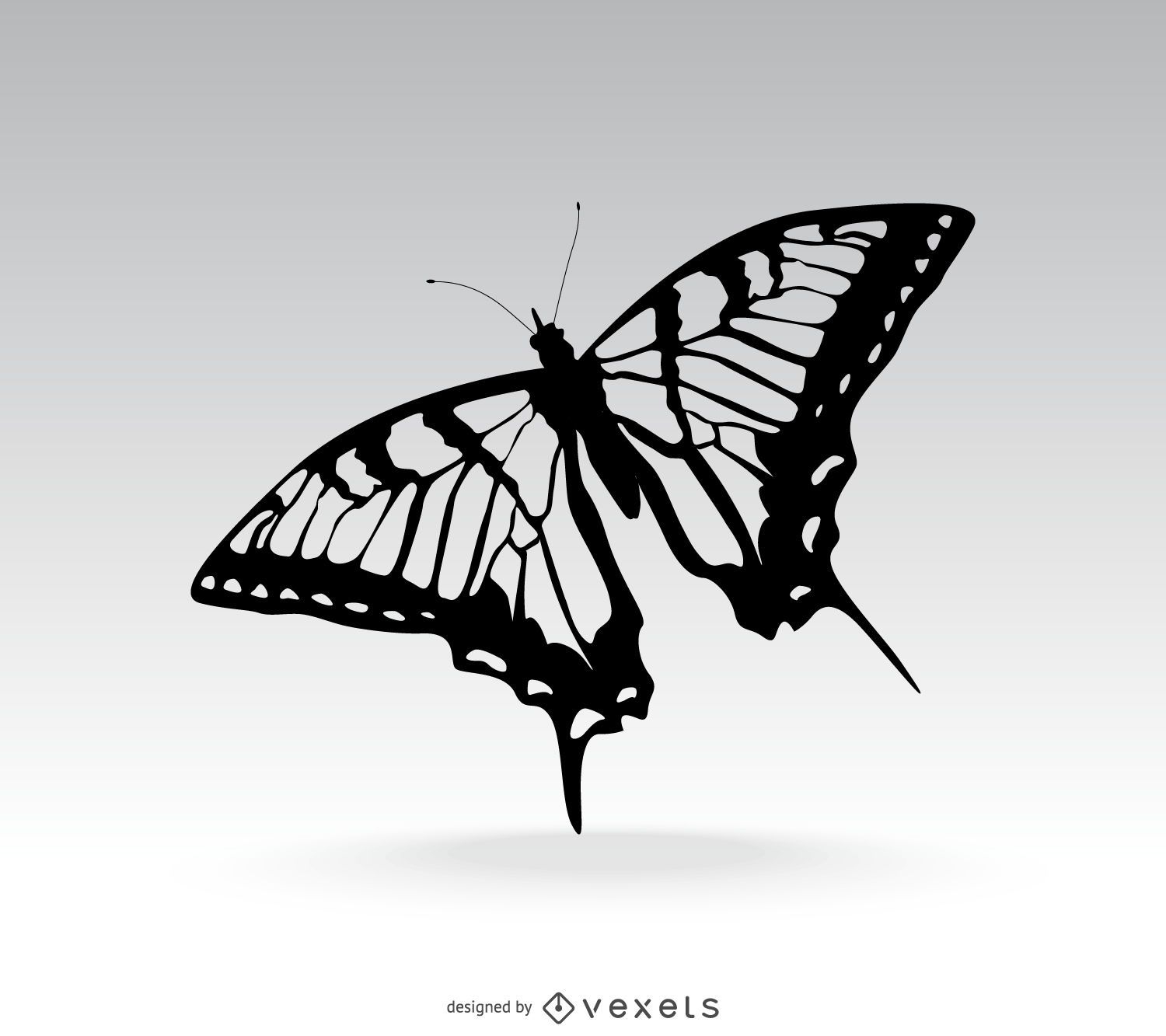 Isolierte Schmetterlingsillustration über Grau