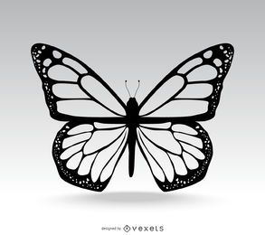 Ilustração clássica de borboleta isolada
