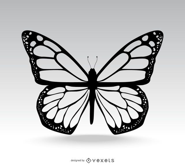 Ilustração de borboleta isolada clássica Ilustração de borboleta isolada clássica