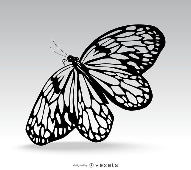 Hermosa mariposa aislado ilustración Hermosa mariposa aislado ilustración