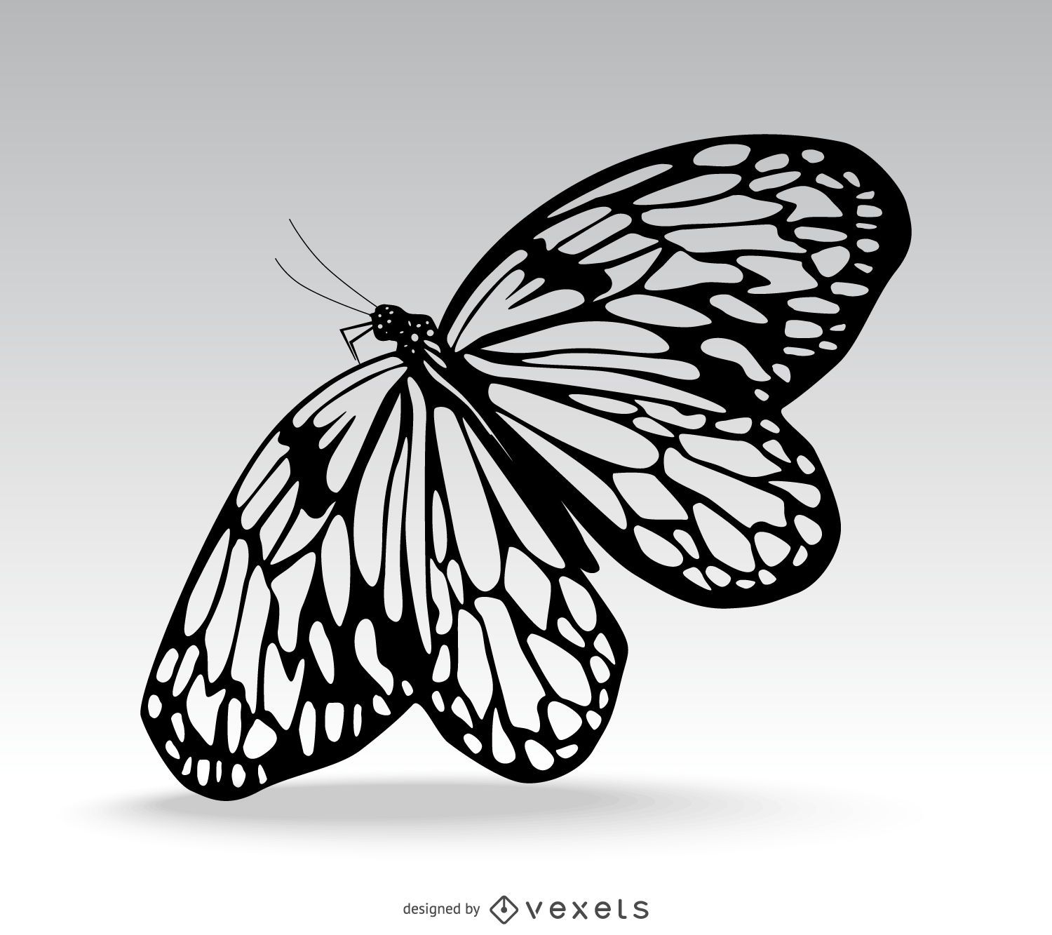 Schöne Schmetterling isolierte Illustration