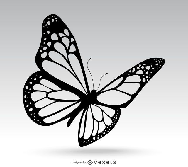 Desenho de borboleta isolado Desenho de borboleta isolado