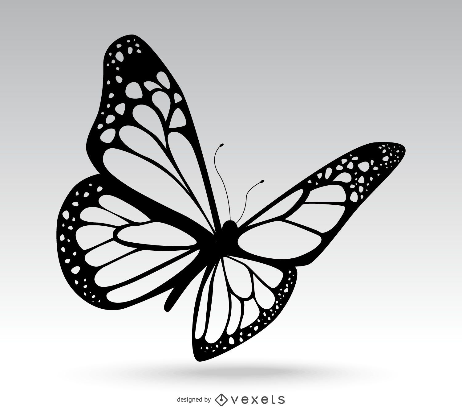 Isolated Butterfly Drawing - Vector Download