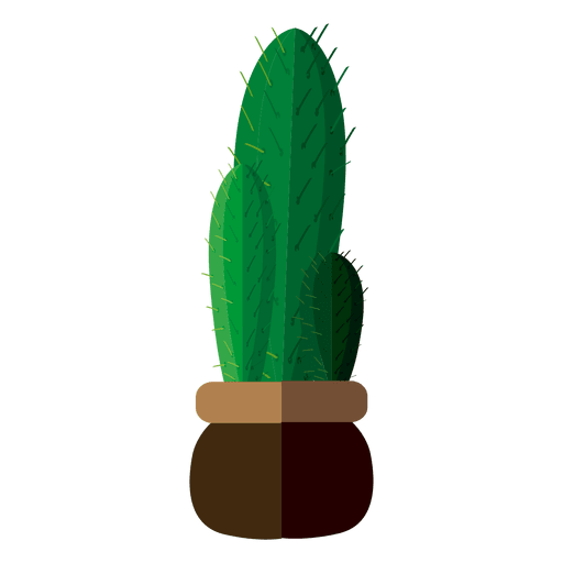 Flat cactus pot drawing illustration