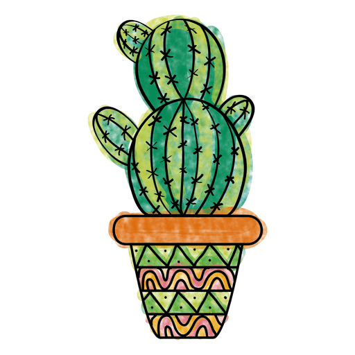 Hand drawn colorful multiple cactus pot 