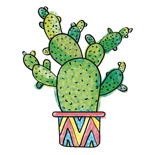 Dibujado a mano acuarela múltiples cactus Diseño PNG