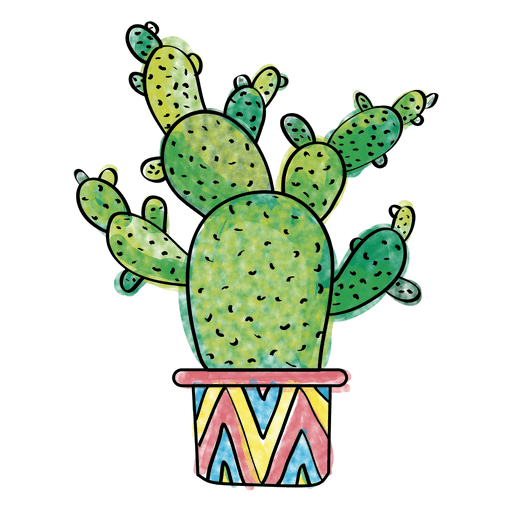 Hand drawn watercolor multiple cactus 