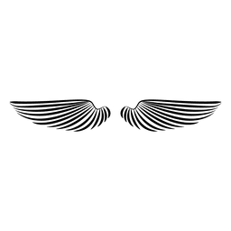 Alas de 2 tiempos Diseño PNG