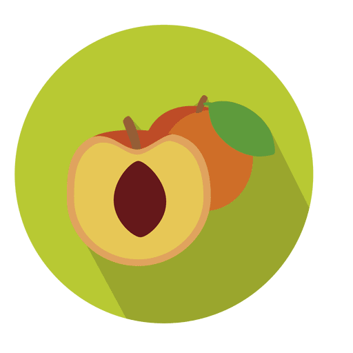 Apricot fruit circle icon PNG Design