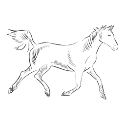Artistic horse PNG Design