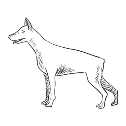 Perro salvaje artístico Diseño PNG