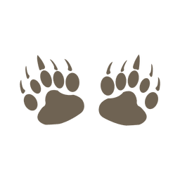 Silhouette of bear footprint PNG Design Transparent PNG