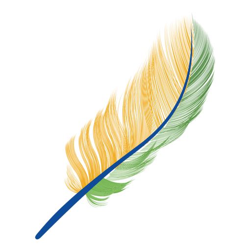 Brazil flag feather PNG Design