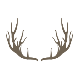 Deer horn PNG Design