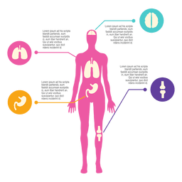 Diagrama del cuerpo femenino Diseño PNG