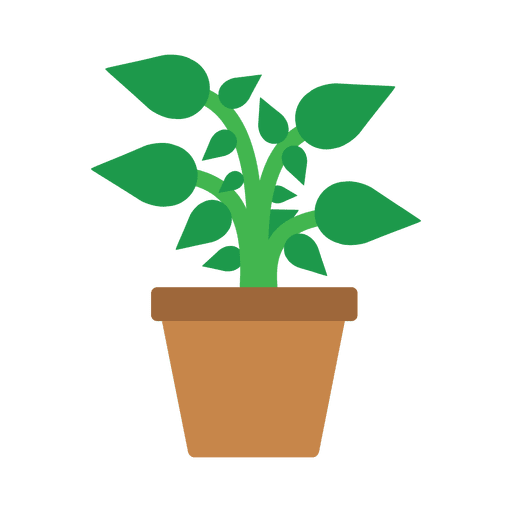 bañera de planta de flor plana Transparent PNG bañera de planta de flor plana Transparent PNG