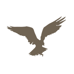 Flying eagle silhouette PNG Design