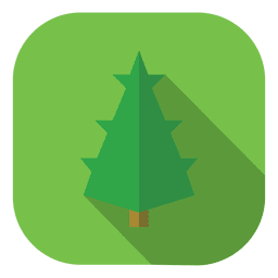 Green pine tree drop shadow icon  PNG Design