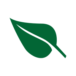 Green st patrick leaf