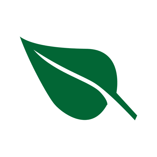 Green st patrick leaf Transparent PNG Green st patrick leaf Transparent PNG