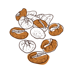 Hand drawn coffee beans PNG Design Transparent PNG