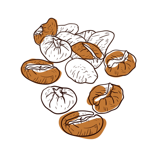 Download Hand drawn coffee beans - Transparent PNG & SVG vector file