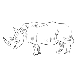 Hand drawn rhinoceros PNG Design