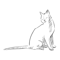 Gato sentado dibujado a mano Diseño PNG