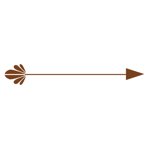 Flecha de decoración de hojas Diseño PNG