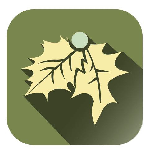 Mistletoe flat square icon PNG Design