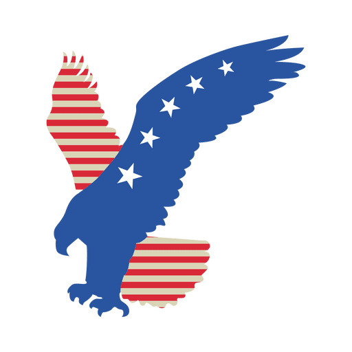 Usa flag flying eagle