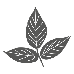 Silueta de línea de hojas de ceniza Diseño PNG