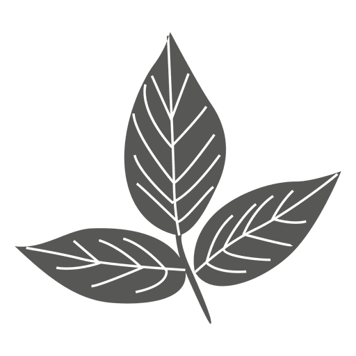 Ash leaves line silhouette PNG Design