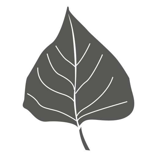 Birch line stroke leaf PNG Design