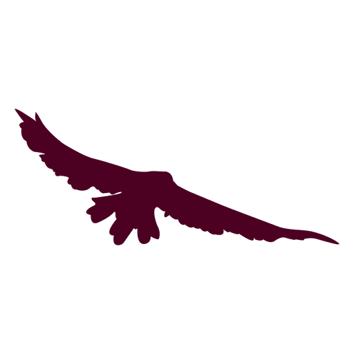 Flying bird sequence silhouette PNG Design