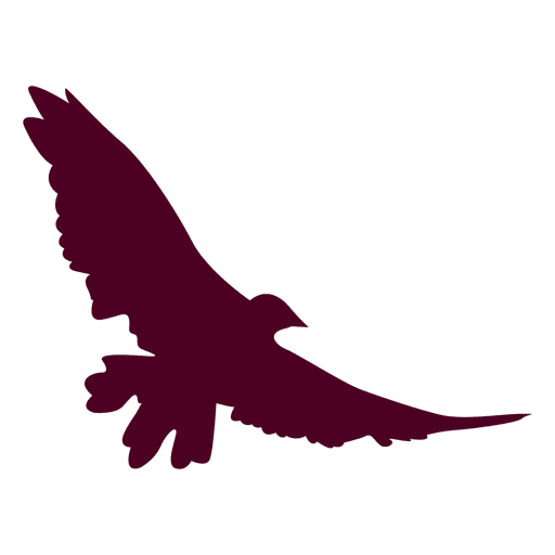 Spread Wings Bird Flying PNG Design