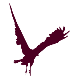Flying Eagle Design PNG Design
