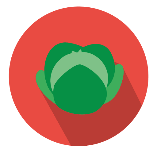 Cabbage circle icon