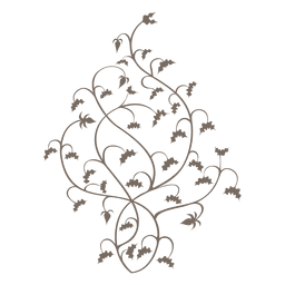 Lockige Blumenwirbel Dekoration PNG-Design