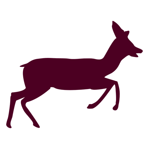 Deer running sequence