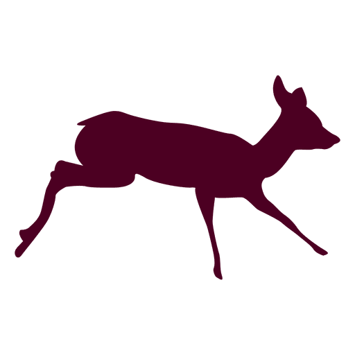 Deer running sequence 8