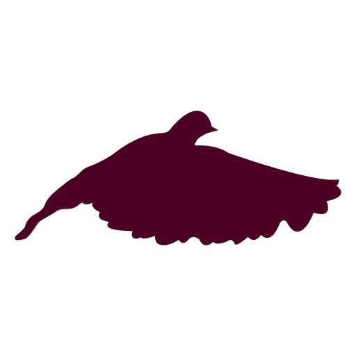 Dove flying wings down PNG Design
