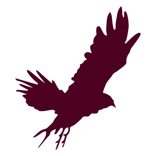 Eagle flying sequence 5 PNG Design