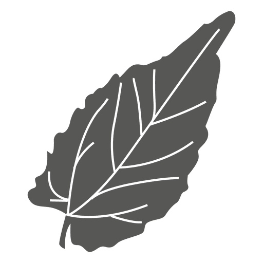 Elliptical leaf line style PNG Design