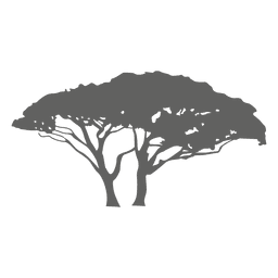 Exotic tree silhouette Transparent PNG