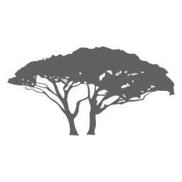 Silhueta de árvore exótica Desenho PNG