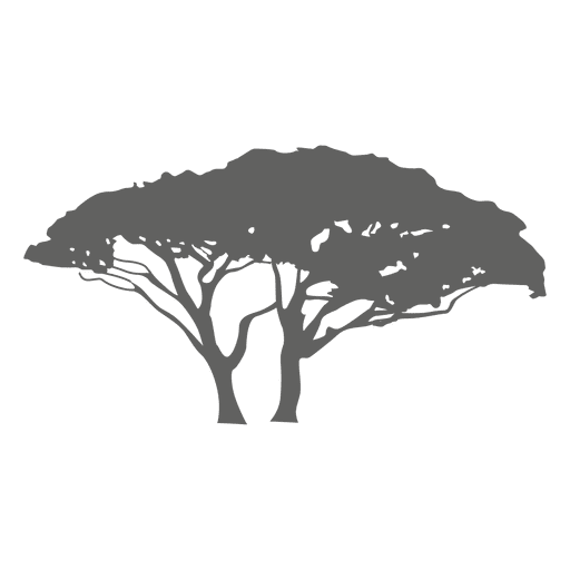 Exotische Baumschattenbild PNG-Design