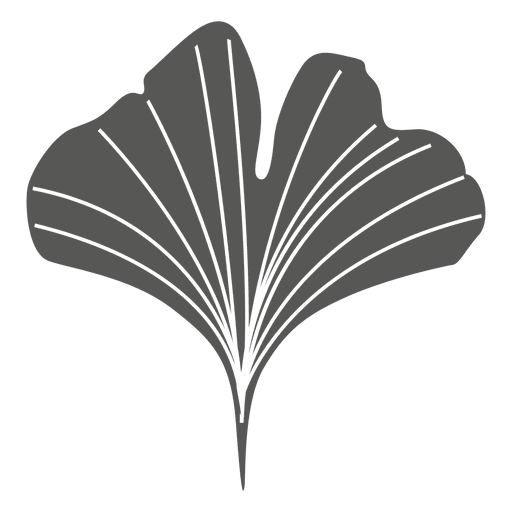 Ginko line style leaf PNG Design